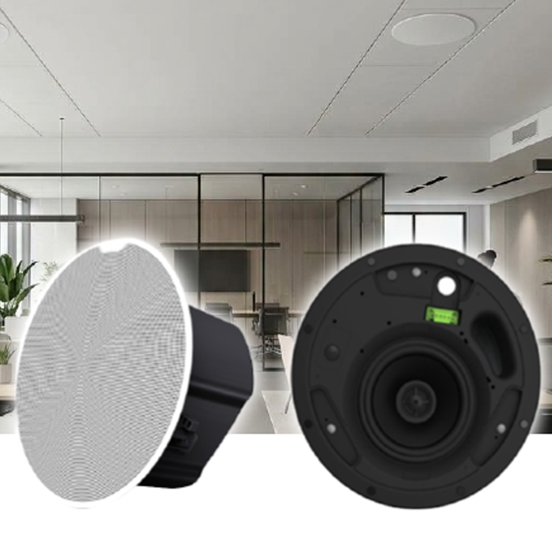 CS-6P Ceiling Speaker